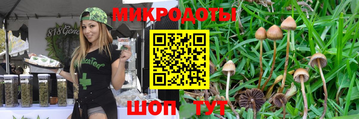 Псилоцибиновые грибы Psilocybine cubensis  Вход с VPN  Новоалтайск 