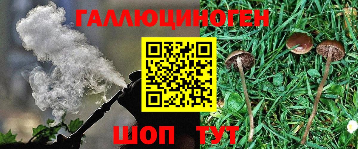 Галлюциногенные грибы прущие грибы Новоалтайск